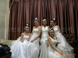 礼仪服务 塑造专业形象与和谐人际的桥梁